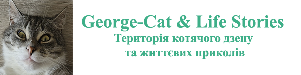 George-Сat